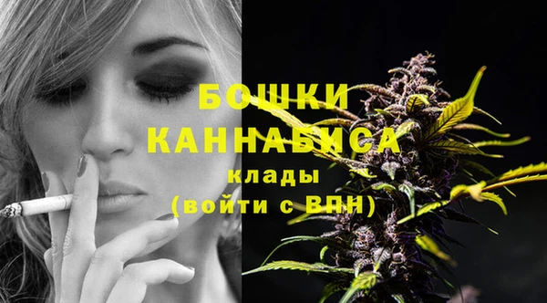шишки Пролетарск