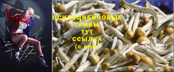 шишки Пролетарск