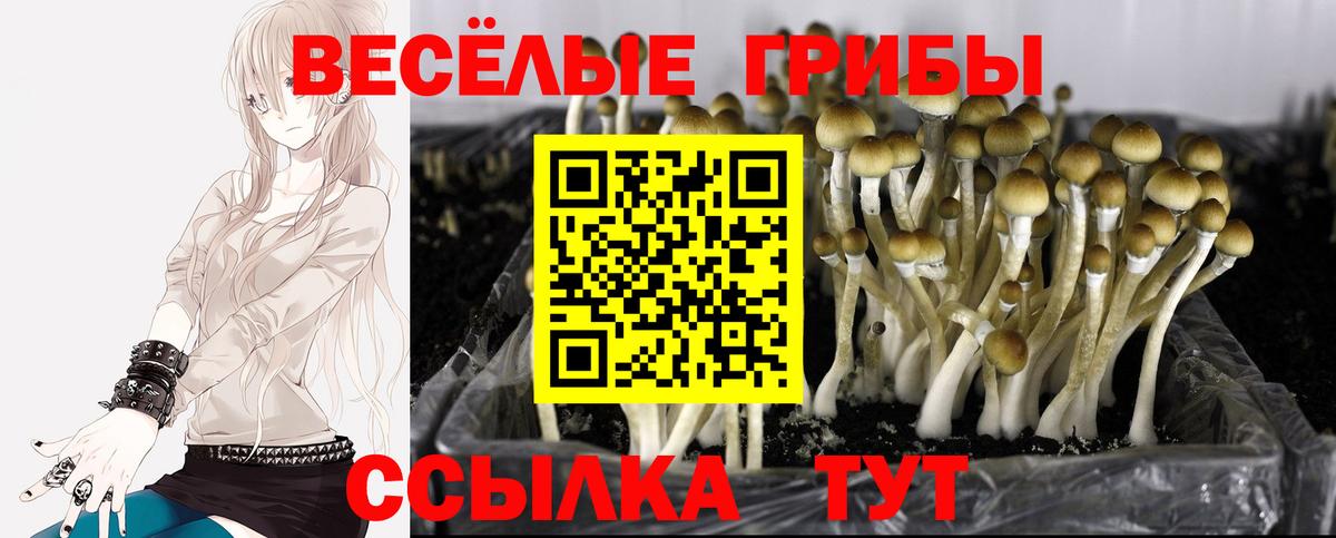 Галлюциногенные грибы MAGIC MUSHROOMS Бор