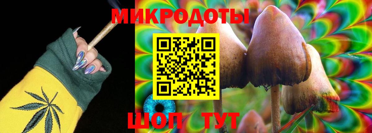 Бор  Галлюциногенные грибы Cubensis  Вход с VPN 