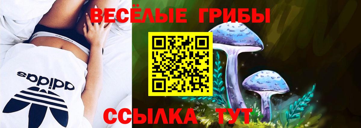 Галлюциногенные грибы GOLDEN TEACHER Бор